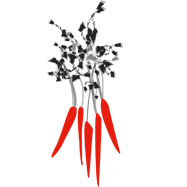 Fundraising Page: Margarita At Pine Creek